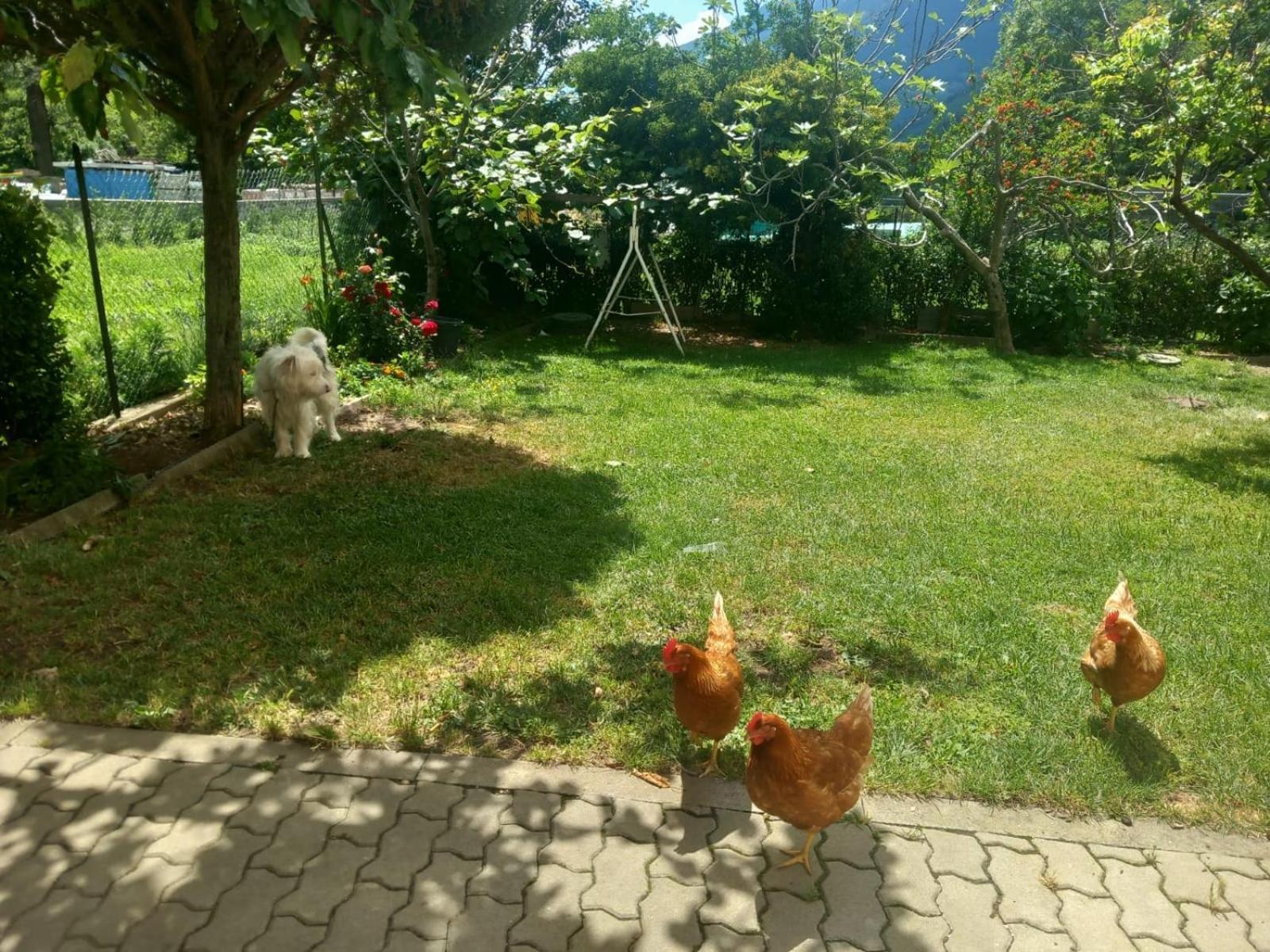 Casa Sergio Grosio Eksteriør billede